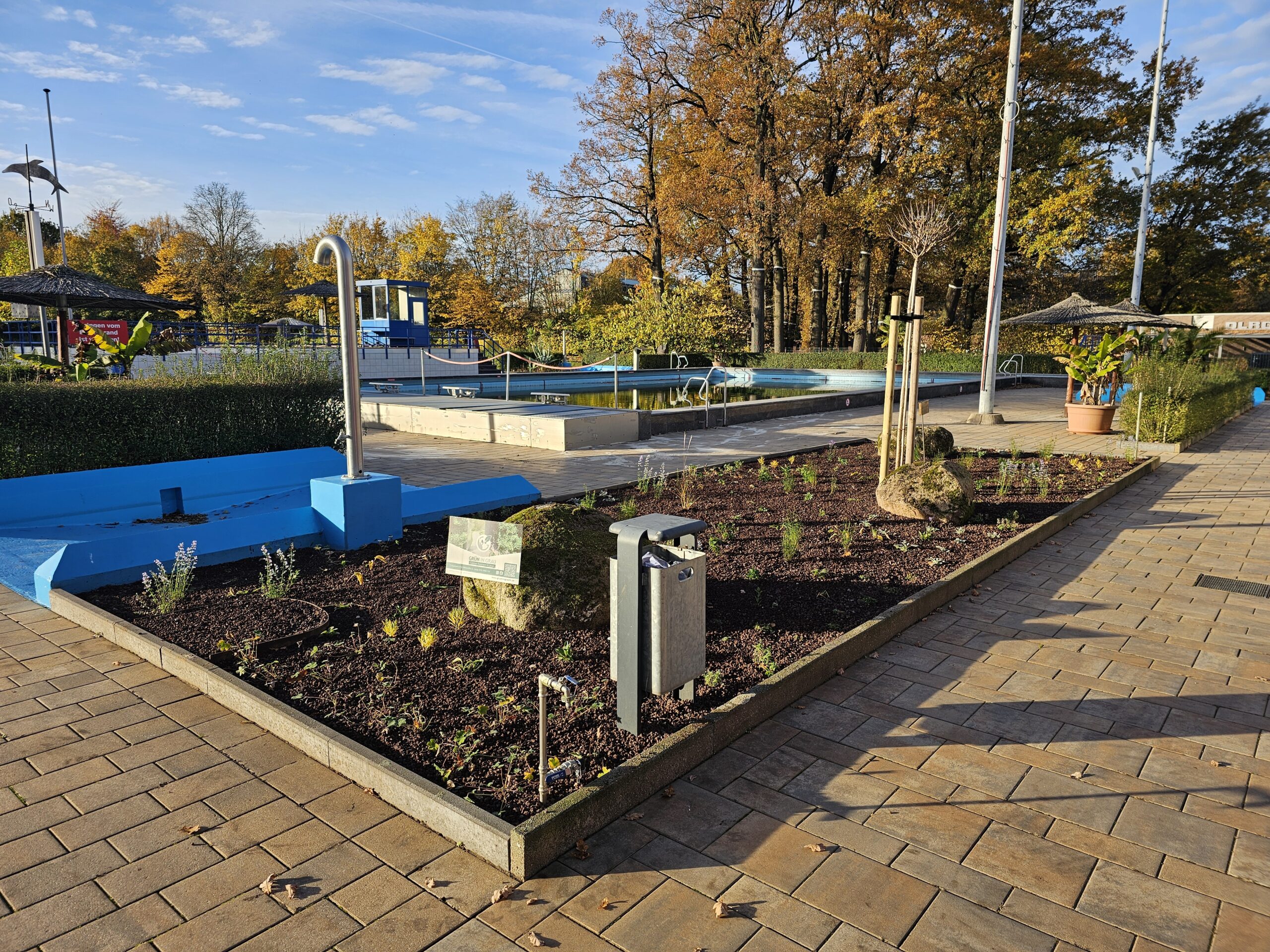 Read more about the article Neugestaltung des Staudenbeets am Schwimmerbecken